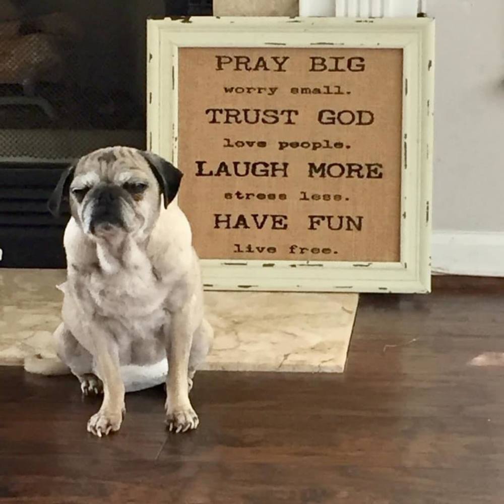 Meet your Posher, Jasmin